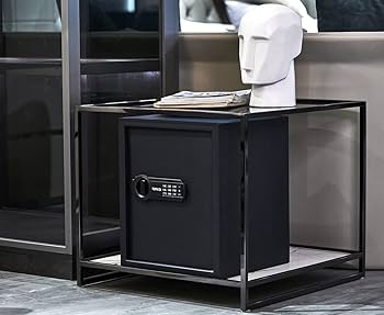 RPNB デラックス金庫とロックボックス マネーボックス デジタルキーパッド RPNB Deluxe Safe and Lock Box, Digital Keypad Safe Box